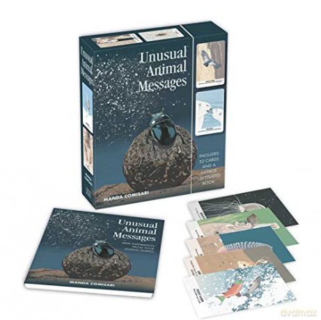 Unusual Spirit Animals - Comisari Manda [KSIĄŻKA]