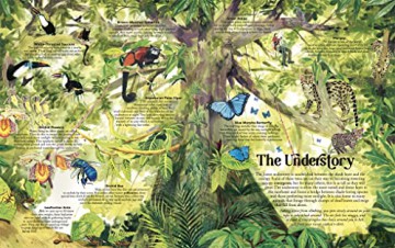 Up In The Canopy - James Aldred [KSIĄŻKA]