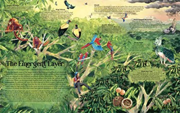 Up In The Canopy - James Aldred [KSIĄŻKA]