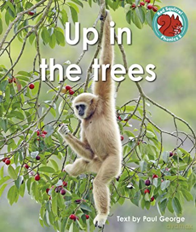 Up In The Trees - Paul George [KSIĄŻKA]