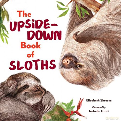 Upside Down Book Of Sloths - Elizabeth Shreeve [KSIĄŻKA]