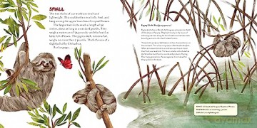 Upside Down Book Of Sloths - Elizabeth Shreeve [KSIĄŻKA]