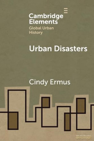Urban Disasters - Cindy Ermus [KSIĄŻKA]