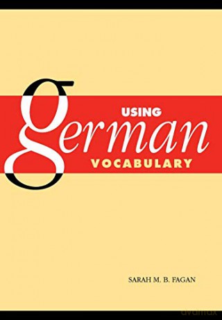 Using German Vocabulary - Sarah Fagan [KSIĄŻKA]