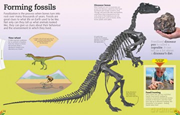 Utterly Amazing Dinosaur - Dustin Growick [KSIĄŻKA]