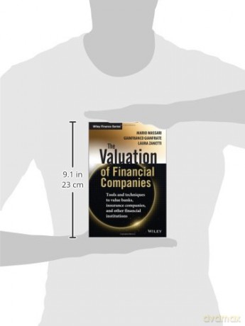 Valuation Of Financial Companies - Mario Masari [KSIĄŻKA]