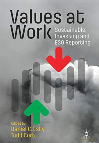 Values At Work - Daniel C. Esty [KSIĄŻKA]