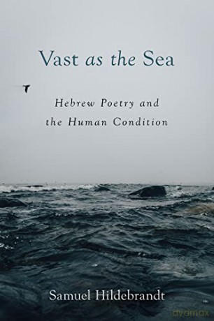 Vast As The Sea - Samuel Hildebrandt [KSIĄŻKA]