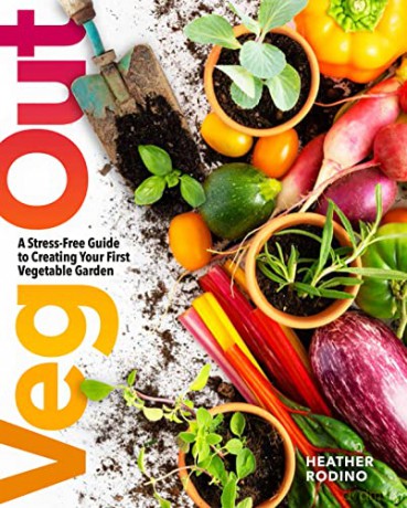 Veg Out - Heather Rodino [KSIĄŻKA]