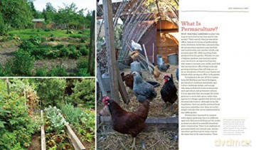 Vegetable Gardeners Gde To Permaculture - Christopher Shein [KSIĄŻKA]