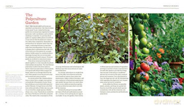 Vegetable Gardeners Gde To Permaculture - Christopher Shein [KSIĄŻKA]