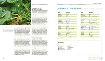 Vegetable Gardeners Gde To Permaculture - Christopher Shein [KSIĄŻKA]