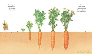 Vegetables - Pascal De Bourgoing [KSIĄŻKA]