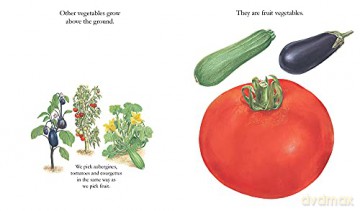 Vegetables - Pascal De Bourgoing [KSIĄŻKA]