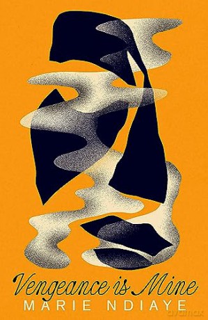 Vengeance Is Mine - Marie Ndiaye [KSIĄŻKA]