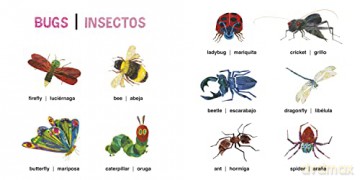 Very Hungry Caterpillars First 100 Words - Eric Carle [KSIĄŻKA]