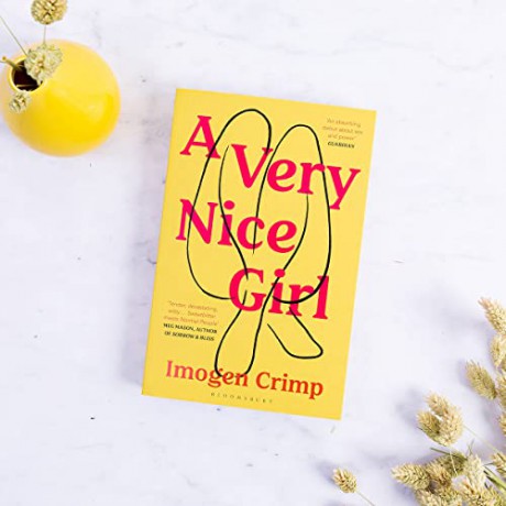 Very Nice Girl - Imogen Crimp [KSIĄŻKA]