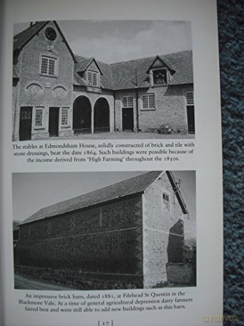 Victorians Discover Dorset [KSIĄŻKA]