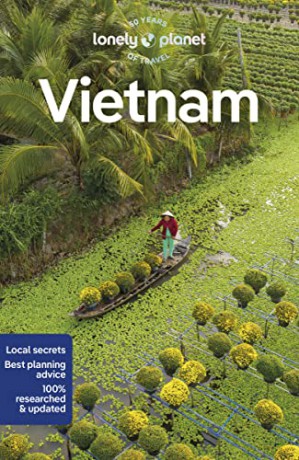 Vietnam - Nick Et Al Ray [KSIĄŻKA]