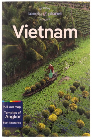 Vietnam - Nick Et Al Ray [KSIĄŻKA]