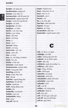 Vietnamese [KSIĄŻKA]