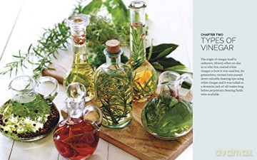 Vinegar - Julie Townsend [KSIĄŻKA]