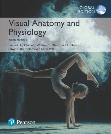 Visual Anatomy Physiology Global Edition - Kevin Petti [KSIĄŻKA]