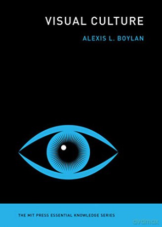 Visual Culture - Alexis L. Boylan [KSIĄŻKA]