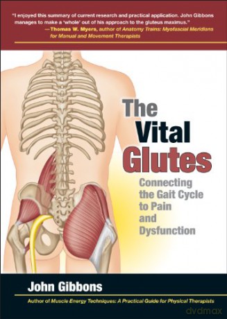 Vital Glutes:Connecting The Gait Cycle T - John Gibbons [KSIĄŻKA]