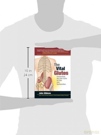 Vital Glutes:Connecting The Gait Cycle T - John Gibbons [KSIĄŻKA]