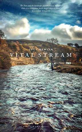 Vital Stream - Lucy Newlyn [KSIĄŻKA]