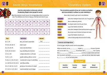 Vocabulary Ninja Workbook For Ages 10-11 - Andrew Jennings [KSIĄŻKA]