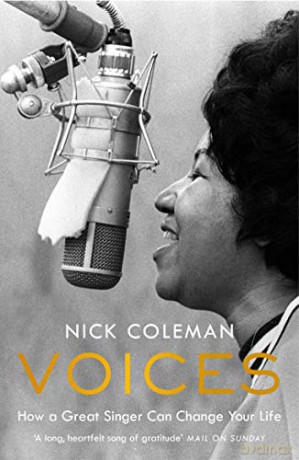 Voices - Nick Coleman [KSIĄŻKA]