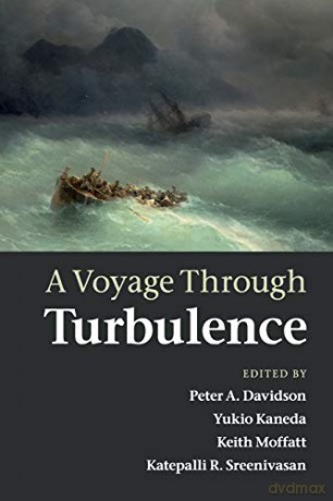 Voyage Through Turbulence - Peter Davidson [KSIĄŻKA]