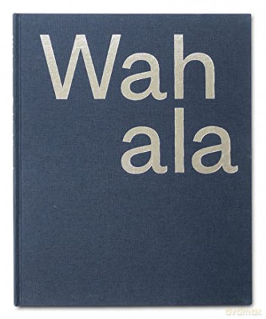 Wahala - Hinsch Robin [KSIĄŻKA]