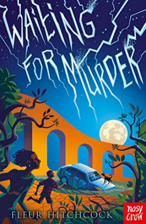 Waiting For Murder - Fleur Hitchcock [KSIĄŻKA]