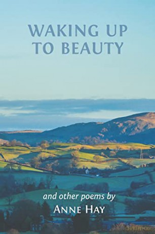 Waking Up To Beauty - Anne Hay [KSIĄŻKA]