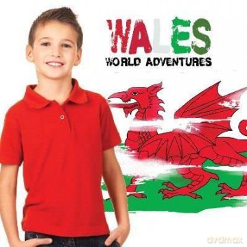 Wales - Harriet Brundle [KSIĄŻKA]