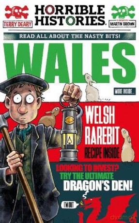Wales Newspaper Edition - Deary Terry [KSIĄŻKA]