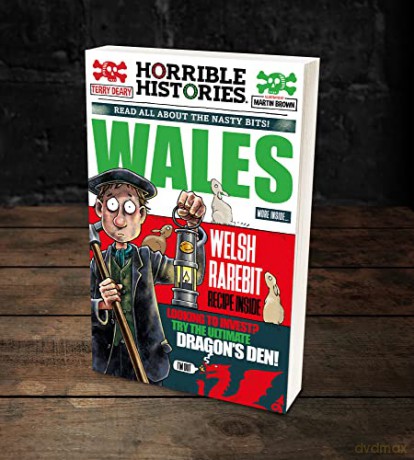 Wales Newspaper Edition - Deary Terry [KSIĄŻKA]