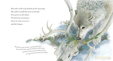 Walk With A Wolf - Janni Howker [KSIĄŻKA]
