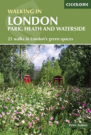 Walking In London - Peter Aylmer [KSIĄŻKA]
