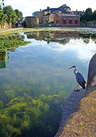 Walking Londons Waterways - Gil Cameron-Cooper [KSIĄŻKA]