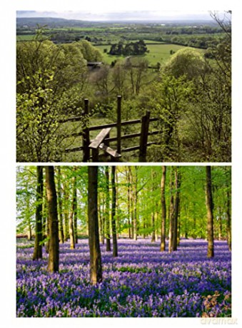 Walks For Each Season - Julia Smith [KSIĄŻKA]