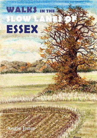 Walks In The Slow Lanes Of Essex - Angie Jones [KSIĄŻKA]