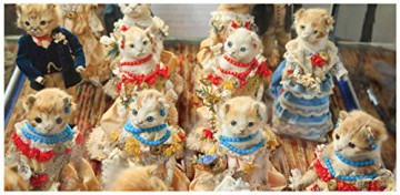Walter Potters Curious World Of Taxiderm - Joanna Ebenstein [KSIĄŻKA]