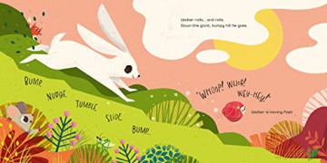 Walter The Wonder Snail - Neil Clark [KSIĄŻKA]