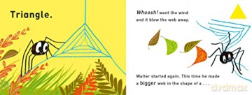 Walters Wonderful Web - Tim Hopgood [KSIĄŻKA]