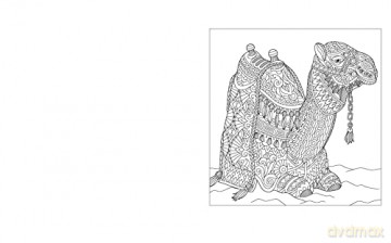Wanderlust Colouring Book - Tansy Willow [KSIĄŻKA]
