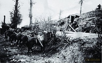 War Horses - Simon Butler [KSIĄŻKA]